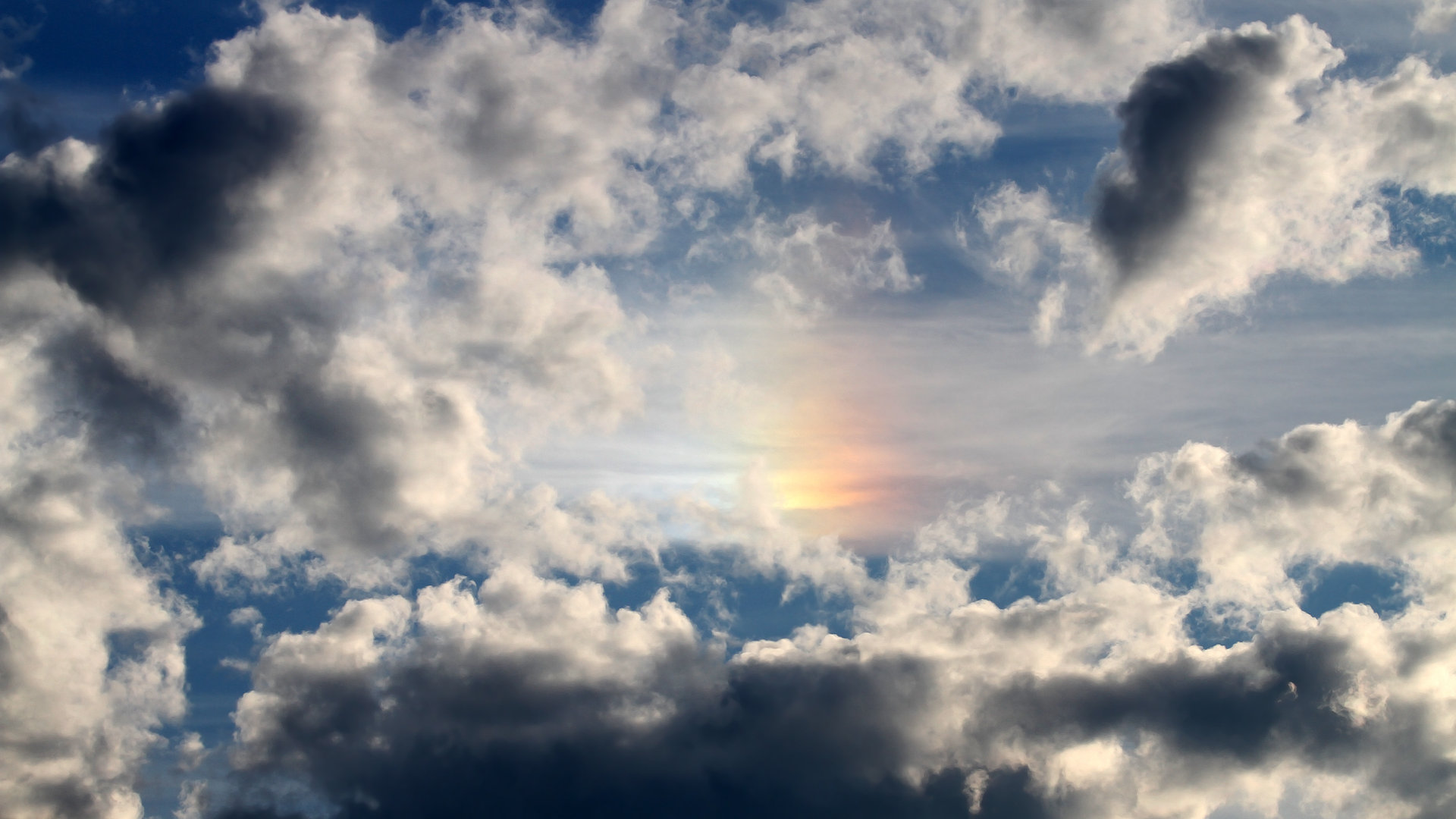 CBA赛季观众参与度持续增长，cba赛季观众参与度持续增长的原因