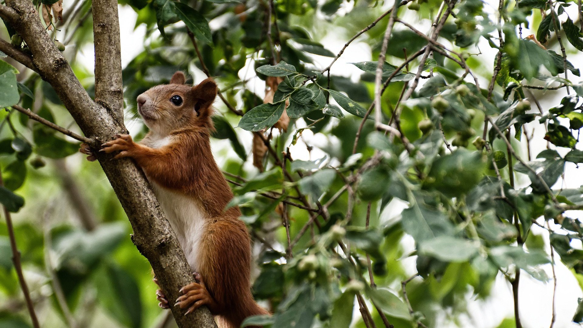 开云注册-CBA球队制定球员营养标准统一饮食结构，cba球员的伙食